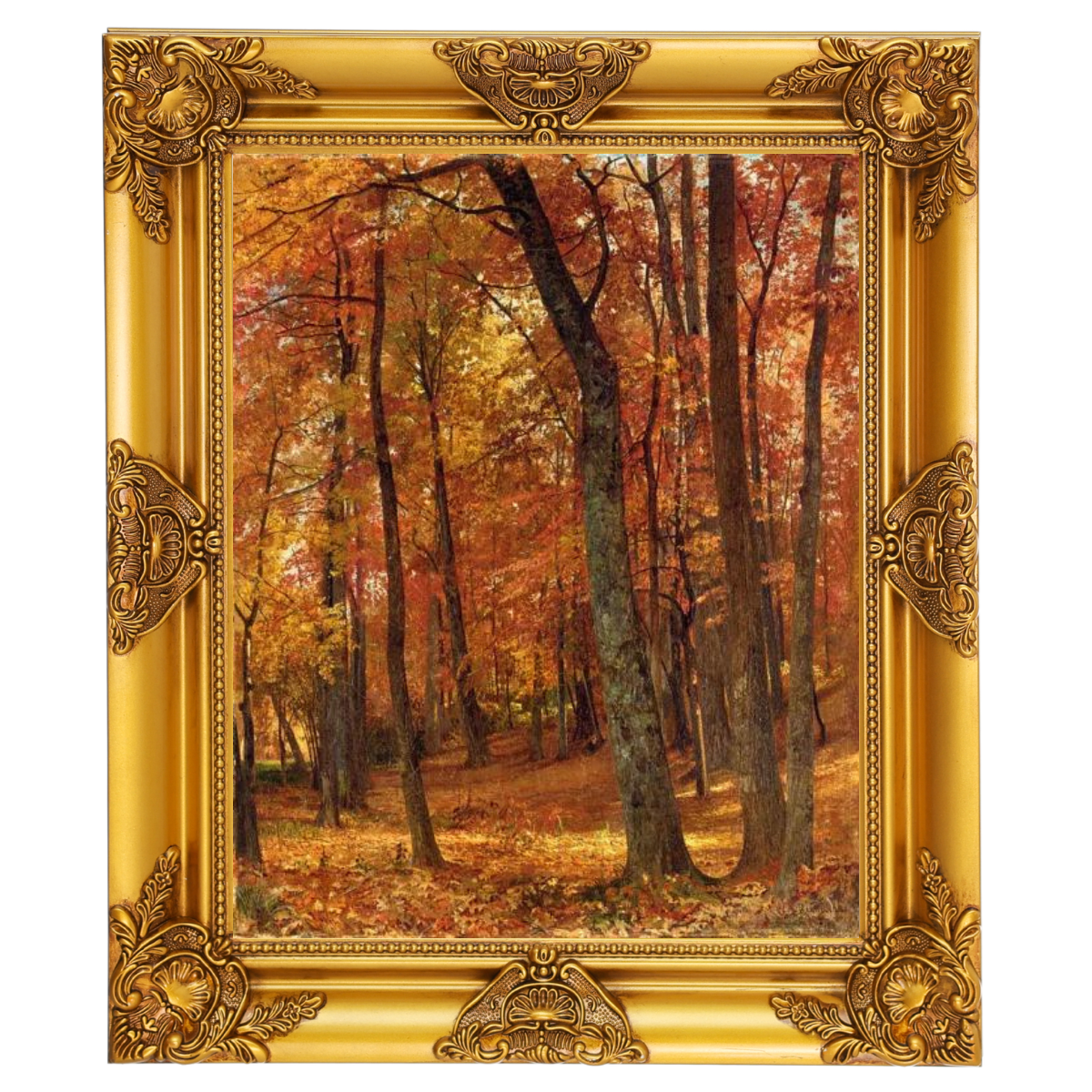 A Forest Interior