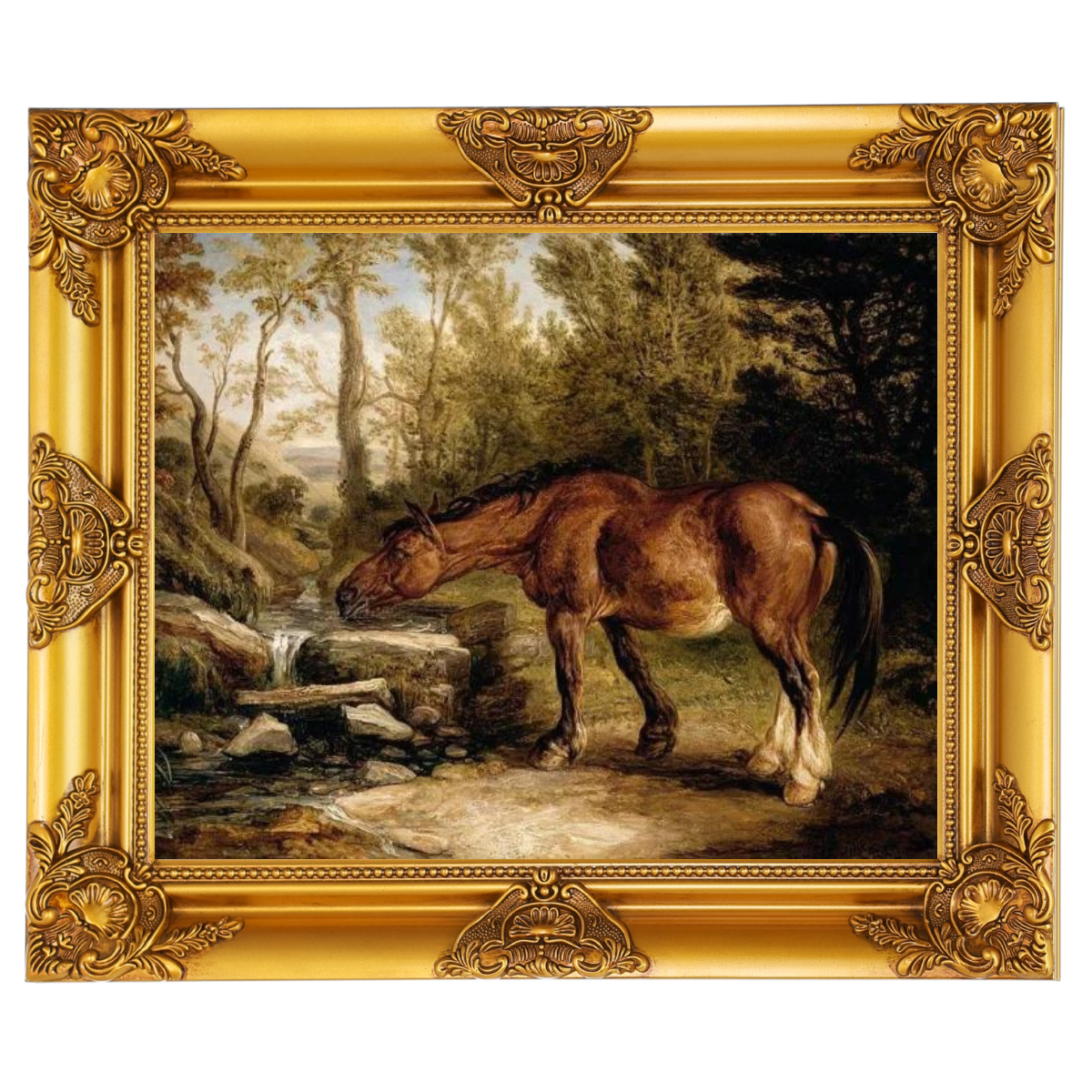 A Horse Drinking at a Stream