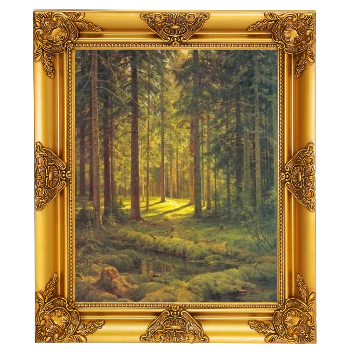A Coniferous Forest. Sunny Day