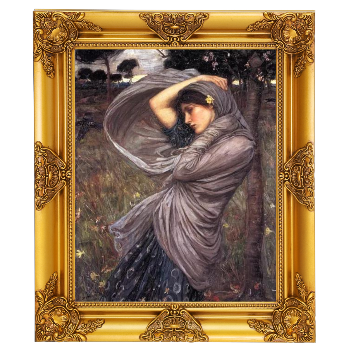 Boreas