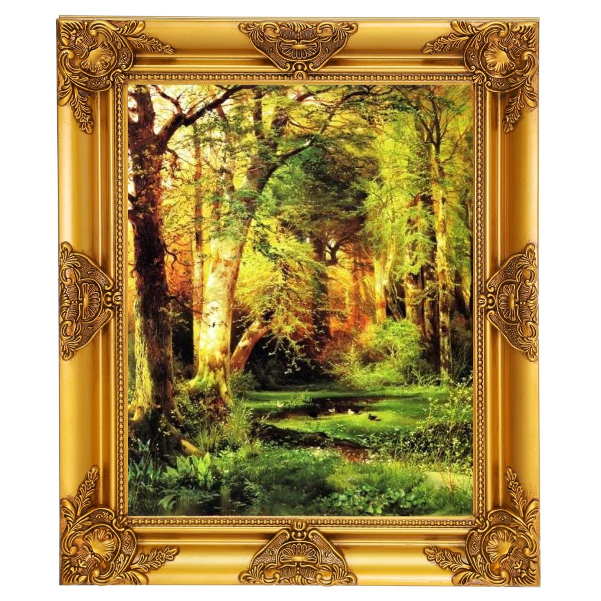 Forest Scene
