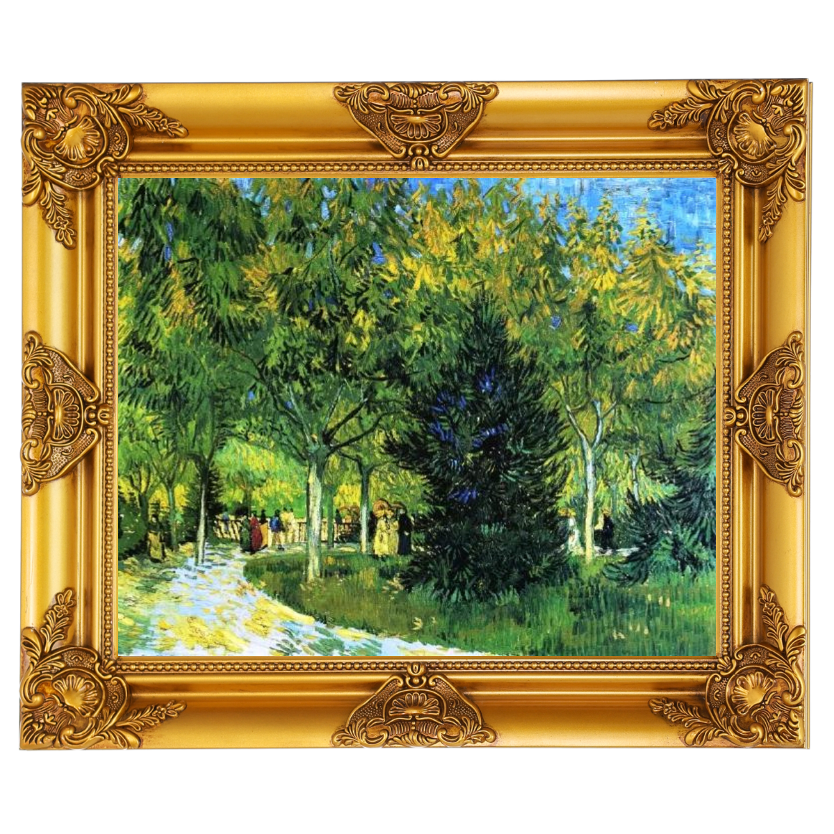 Avenue in the Park