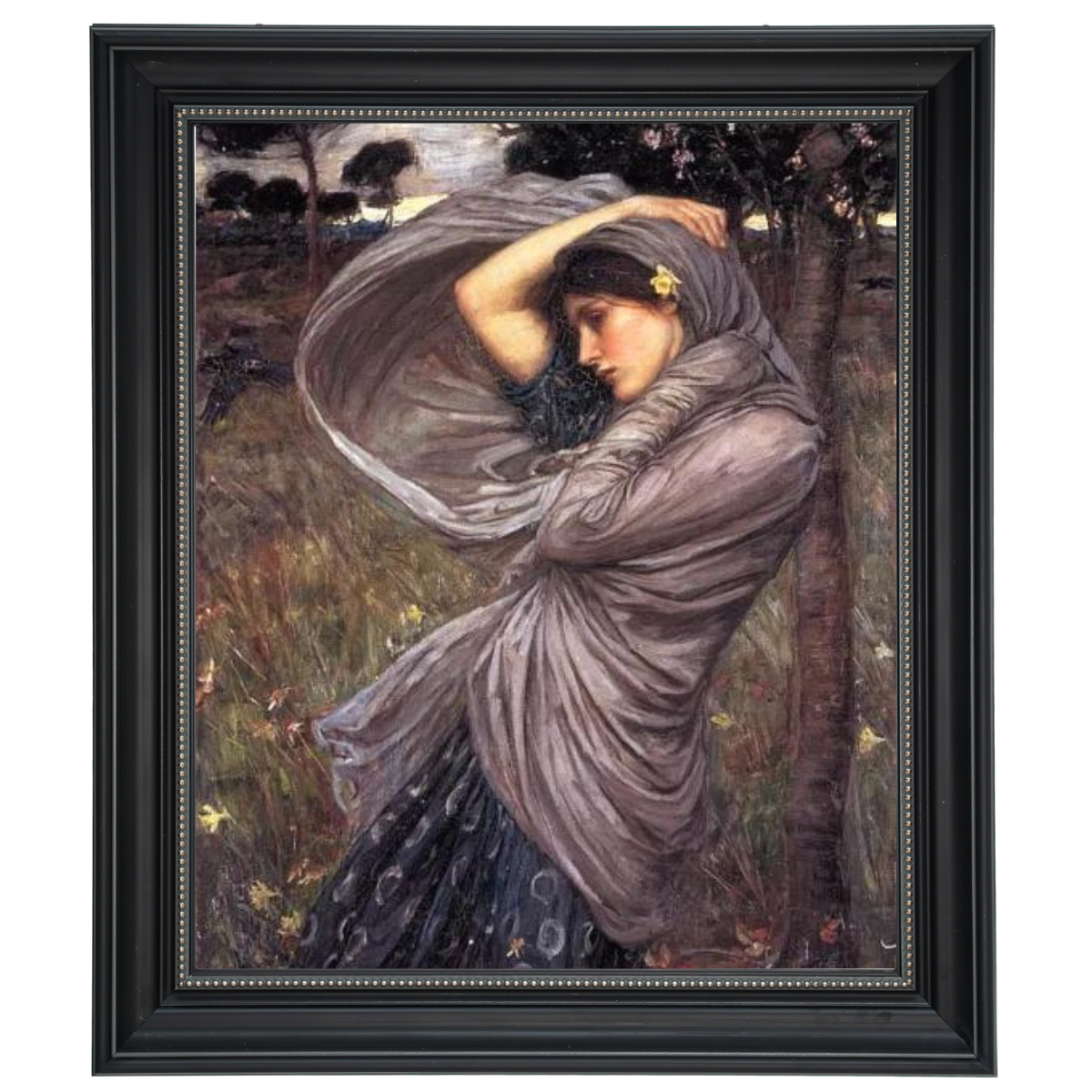 Boreas