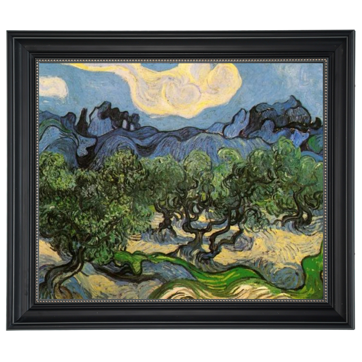 Olive Trees with the Alpilles in the Background