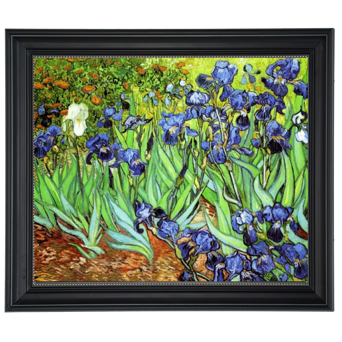 Irises II- Floral Wall Art Prints Decor For Living Room