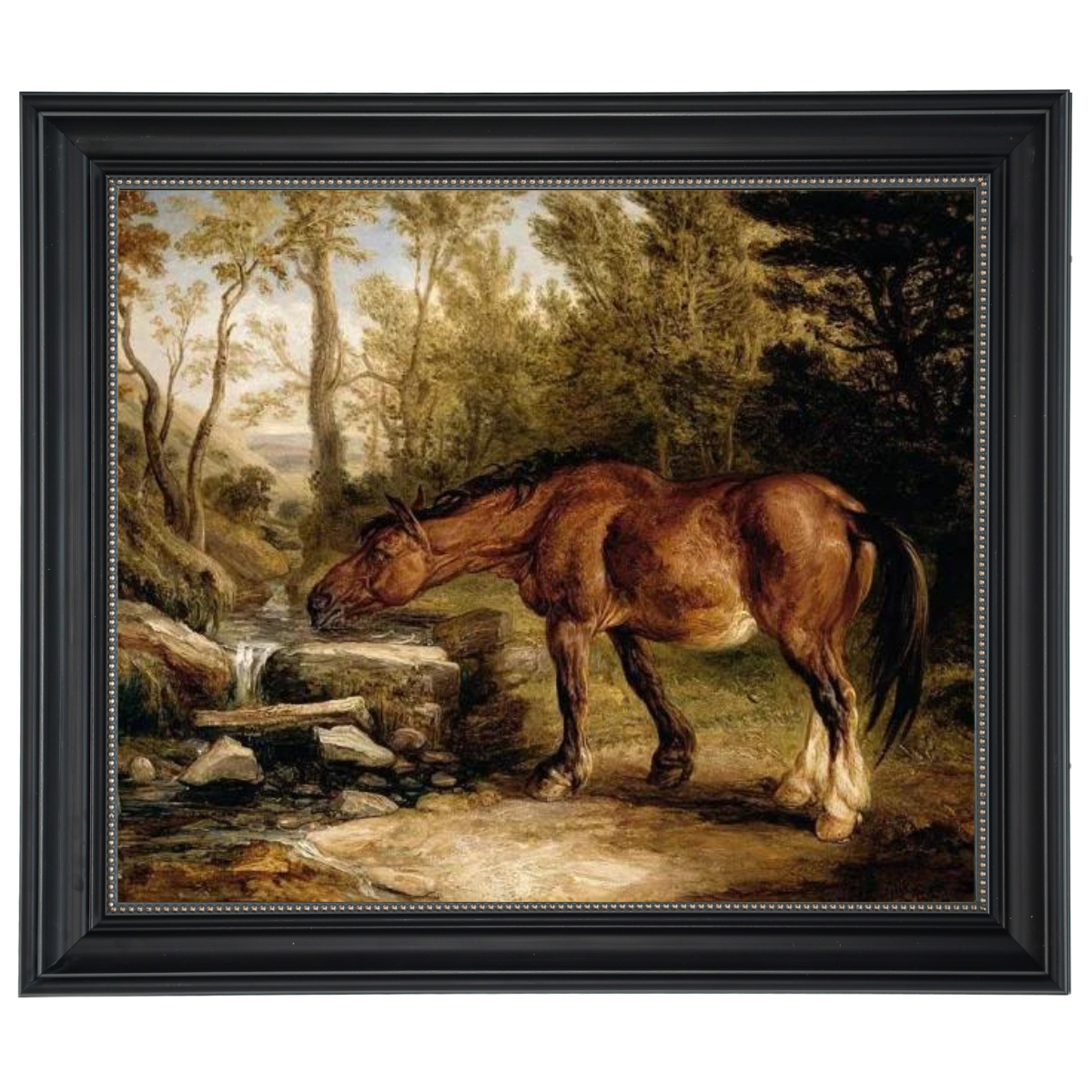 A Horse Drinking at a Stream