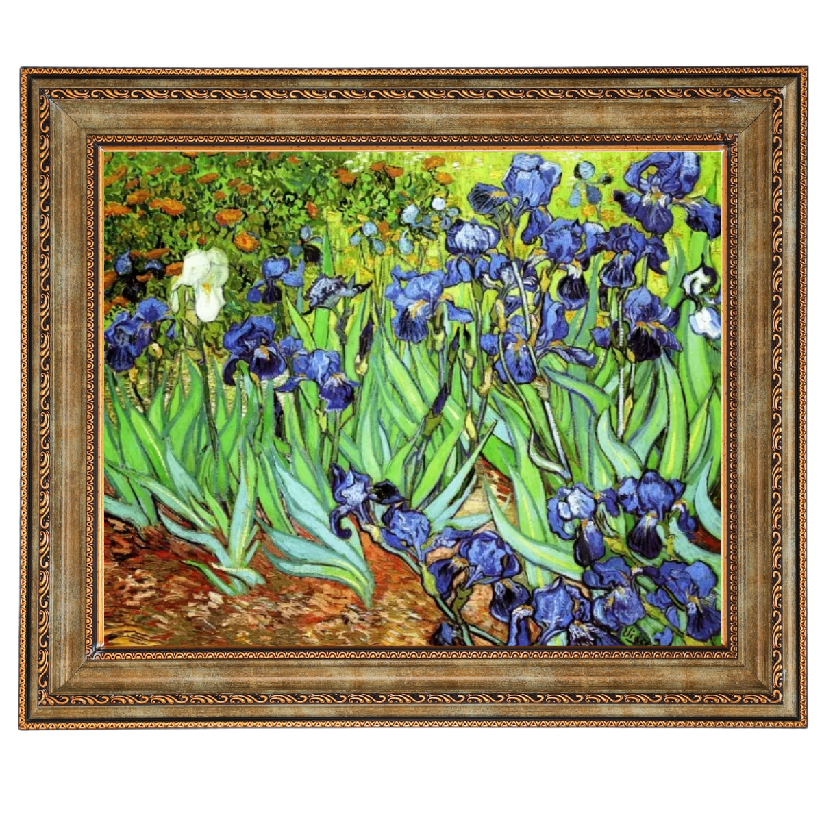 Irises II- Floral Wall Art Prints Decor For Living Room