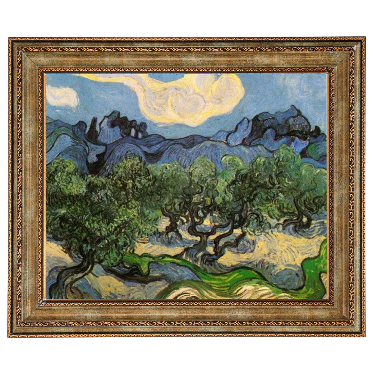 Olive Trees with the Alpilles in the Background