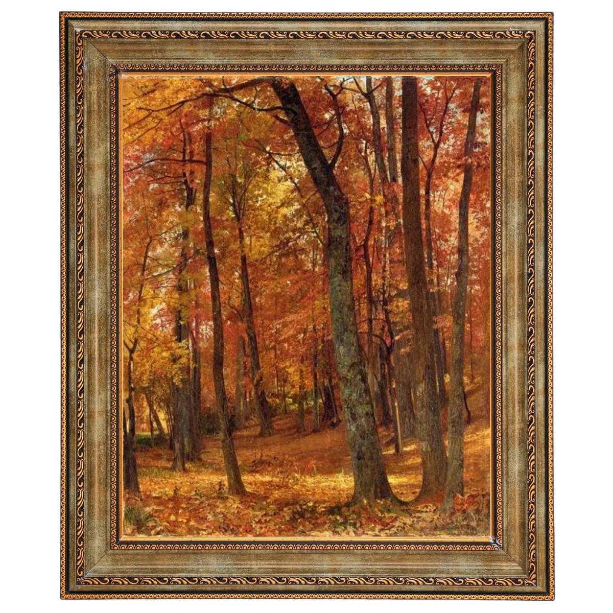 A Forest Interior