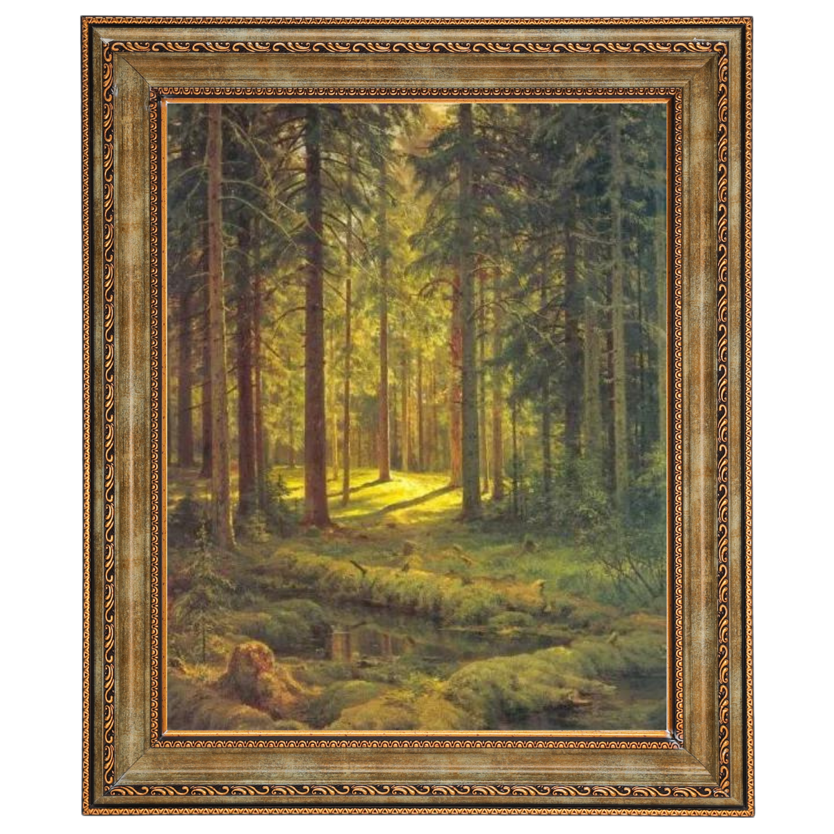 A Coniferous Forest. Sunny Day
