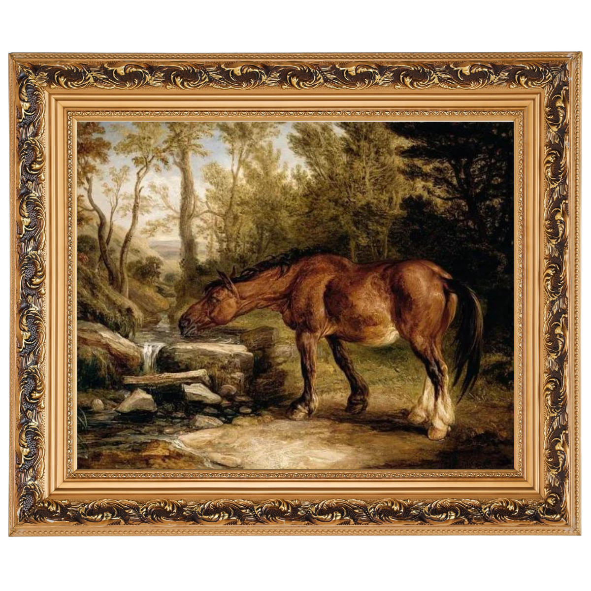 A Horse Drinking at a Stream
