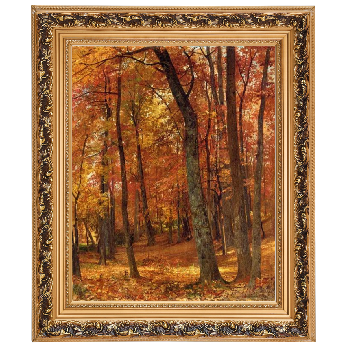 A Forest Interior