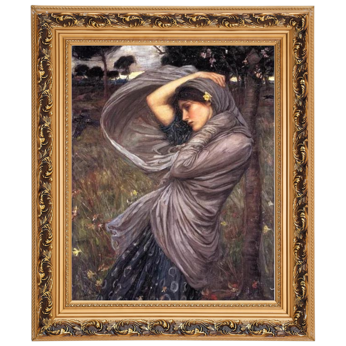 Boreas