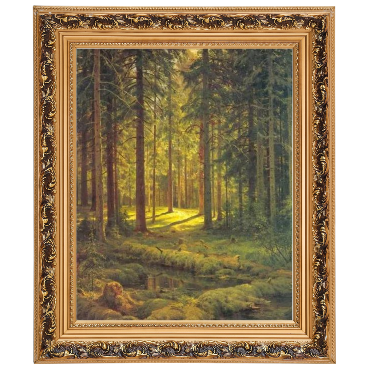 A Coniferous Forest. Sunny Day
