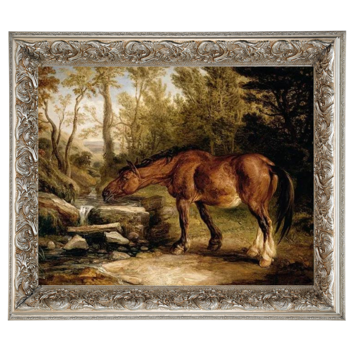 A Horse Drinking at a Stream