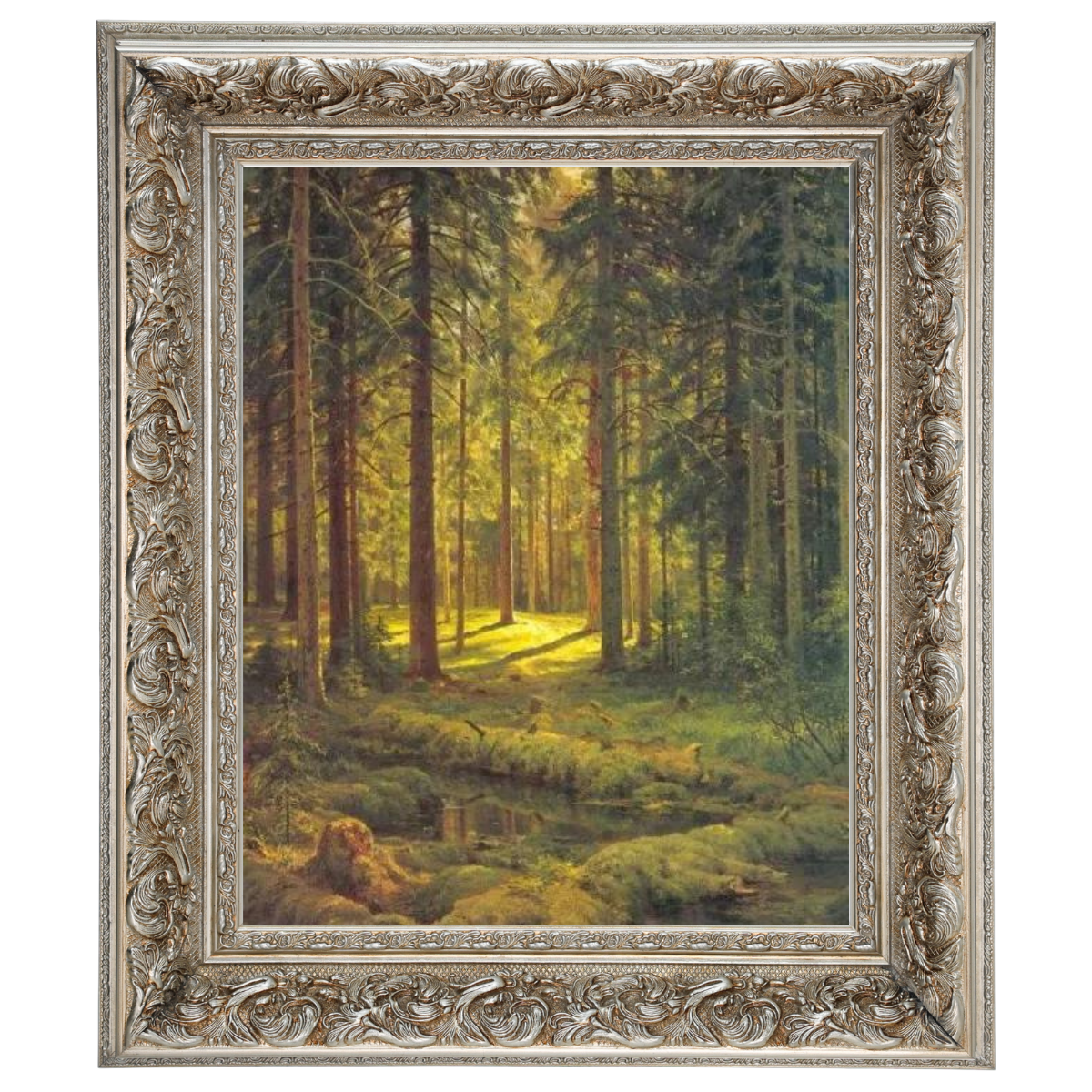 A Coniferous Forest. Sunny Day