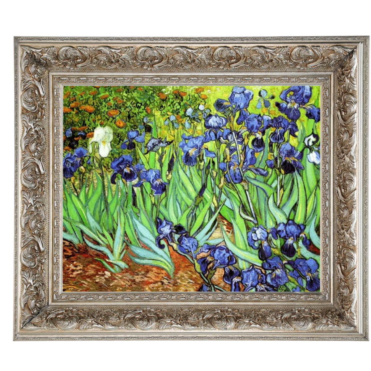 Irises II- Floral Wall Art Prints Decor For Living Room