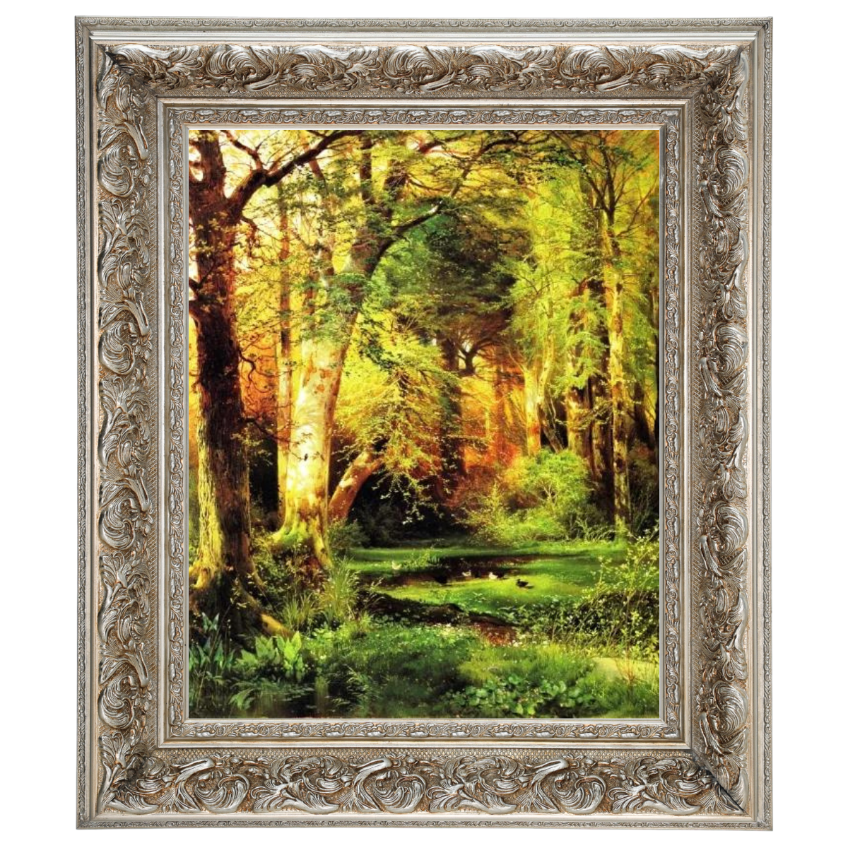Forest Scene