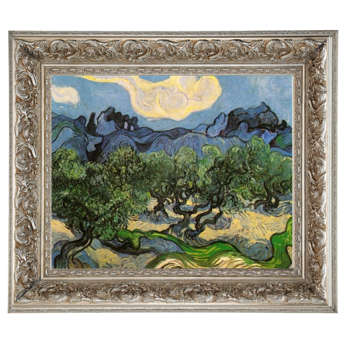 Olive Trees with the Alpilles in the Background