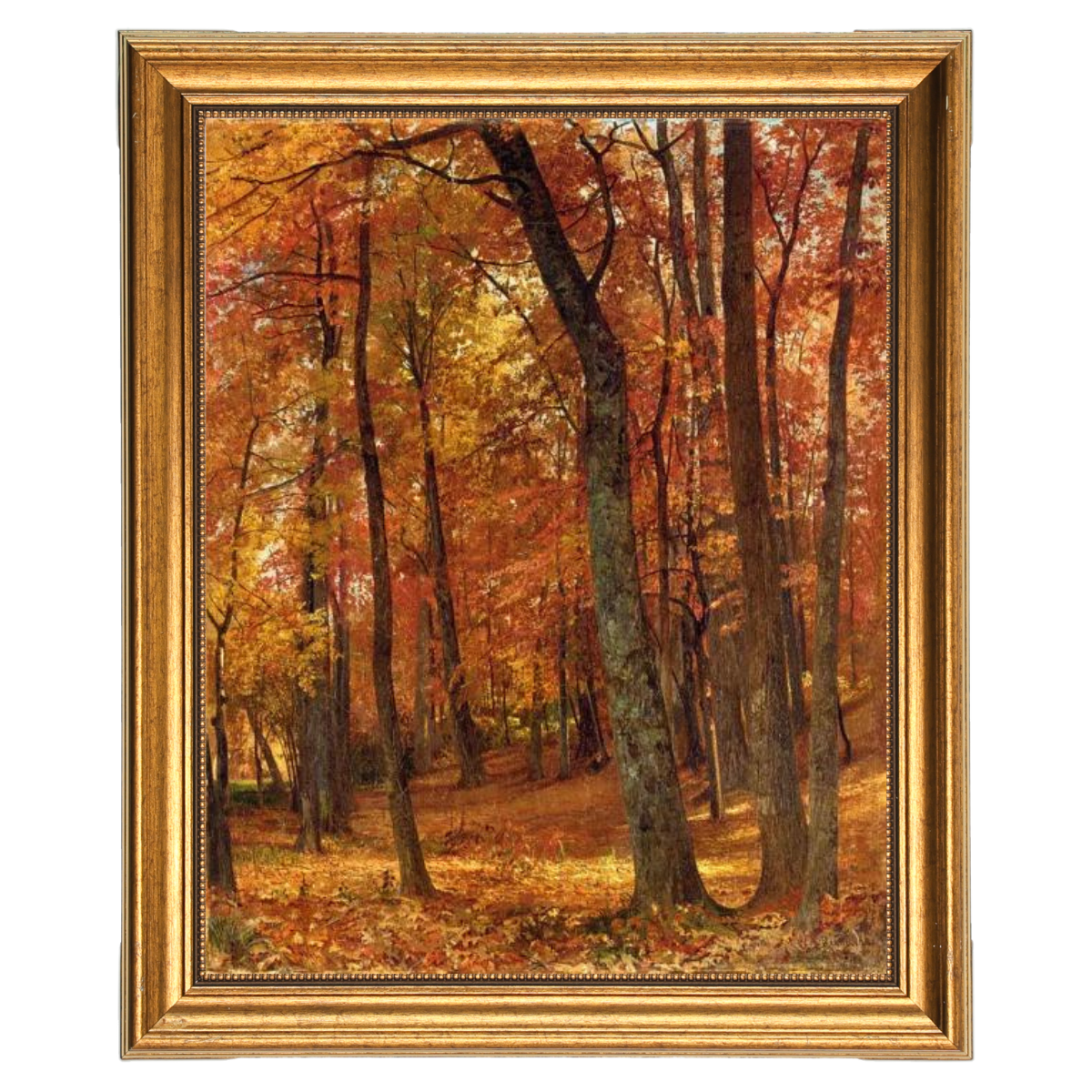 A Forest Interior