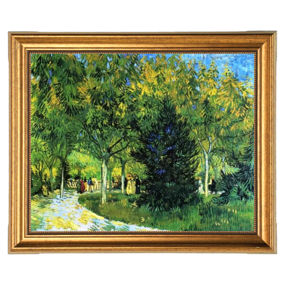 Avenue in the Park