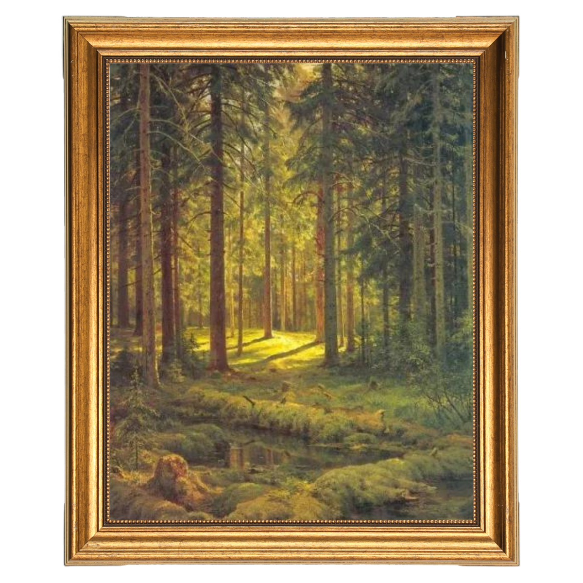 A Coniferous Forest. Sunny Day