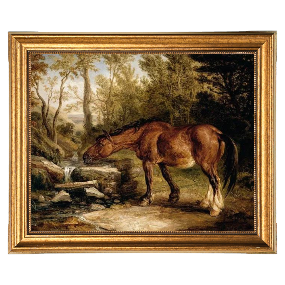 A Horse Drinking at a Stream