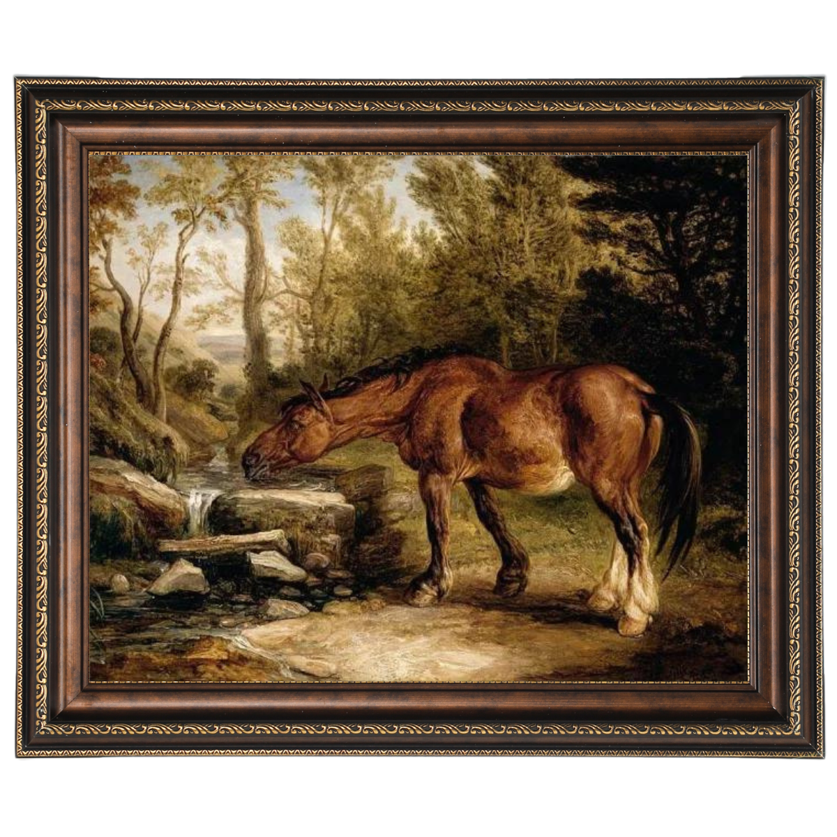 A Horse Drinking at a Stream