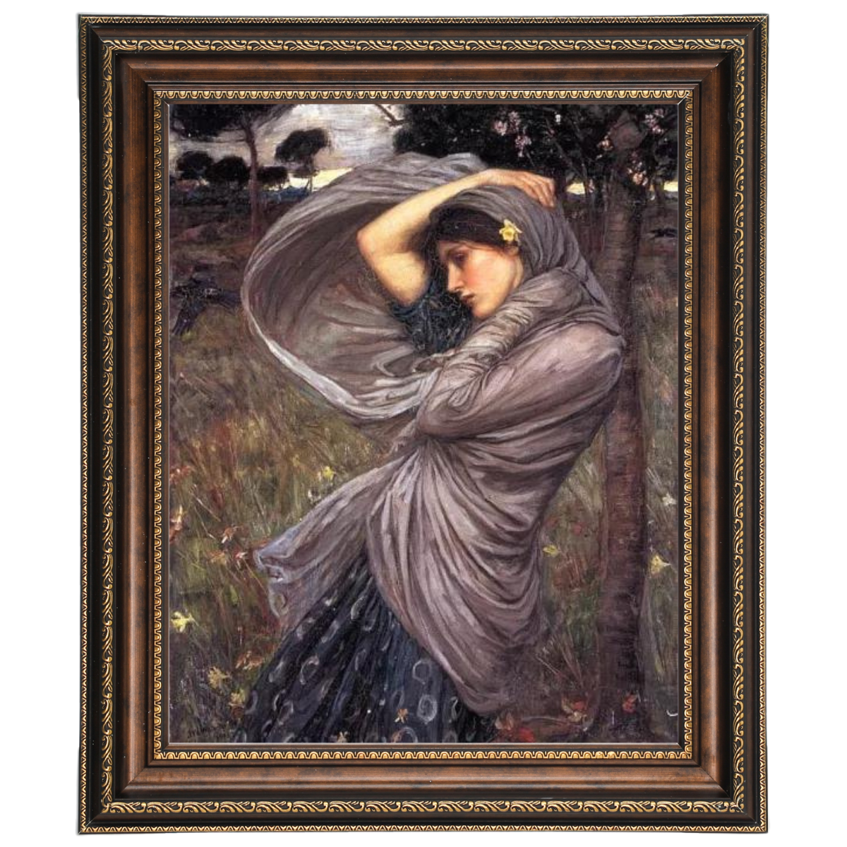 Boreas