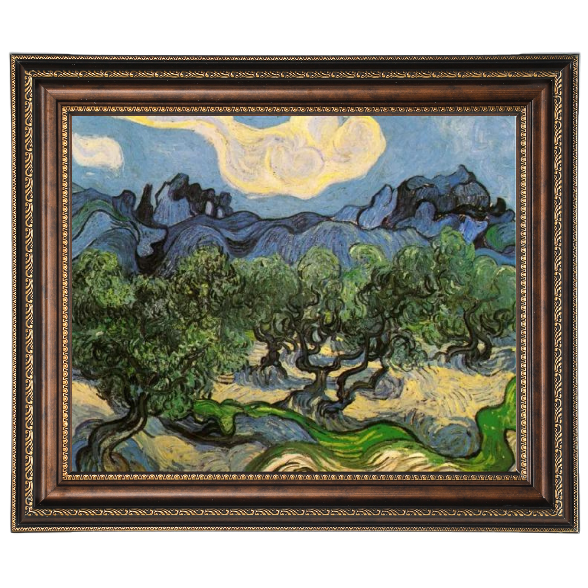 Olive Trees with the Alpilles in the Background