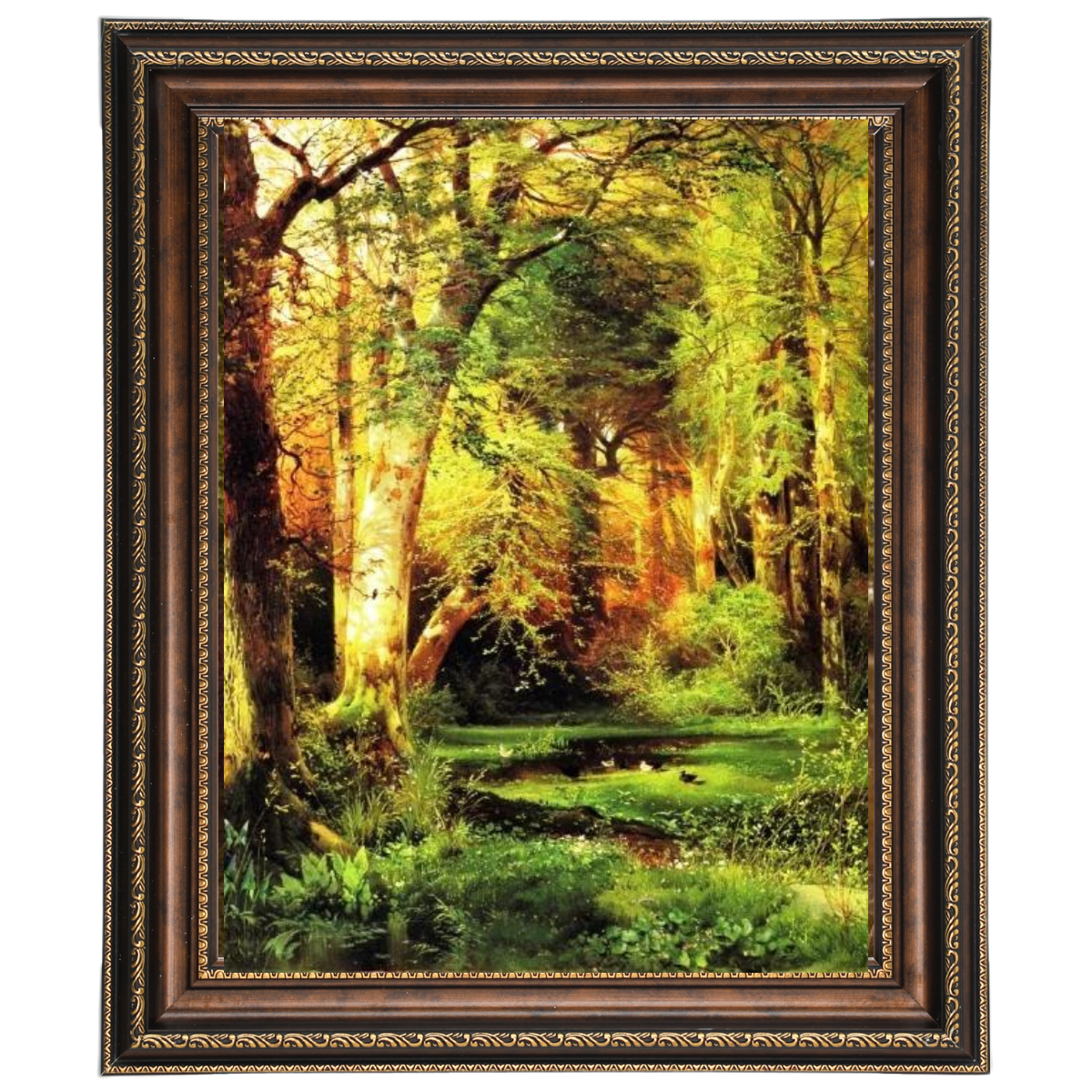 Forest Scene