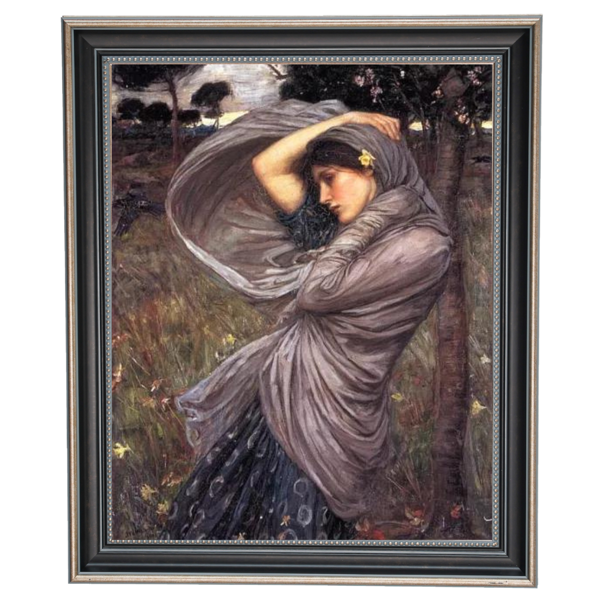 Boreas
