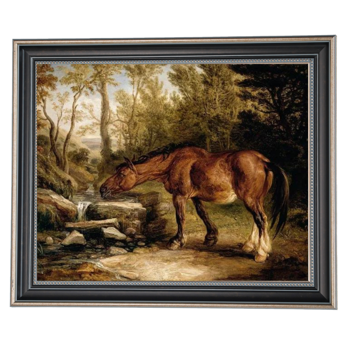 A Horse Drinking at a Stream