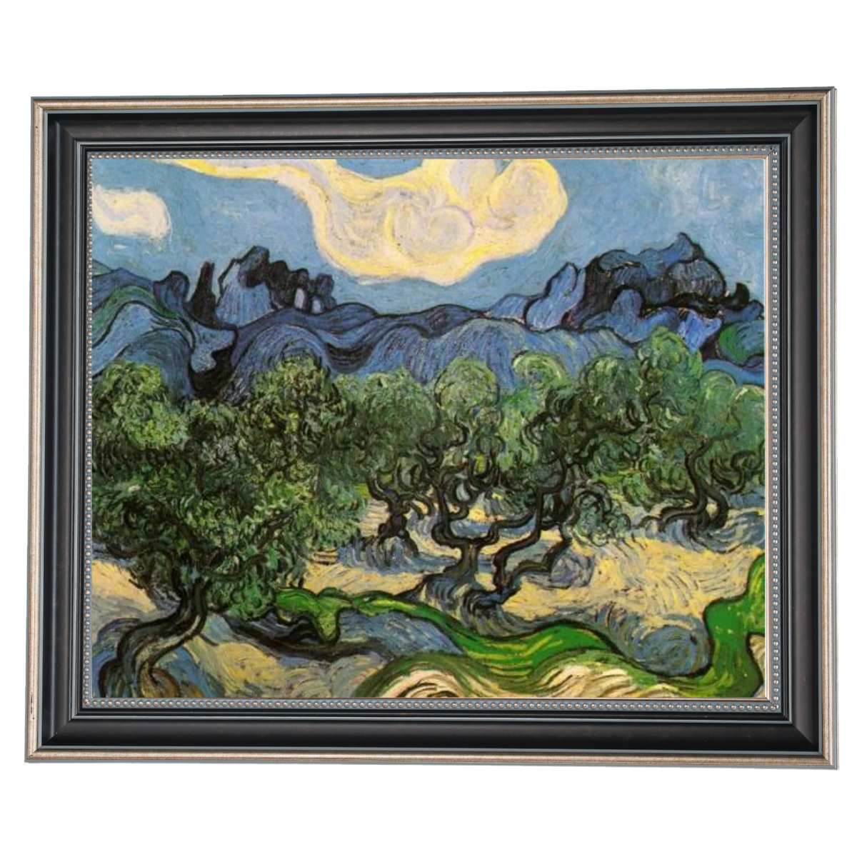 Olive Trees with the Alpilles in the Background