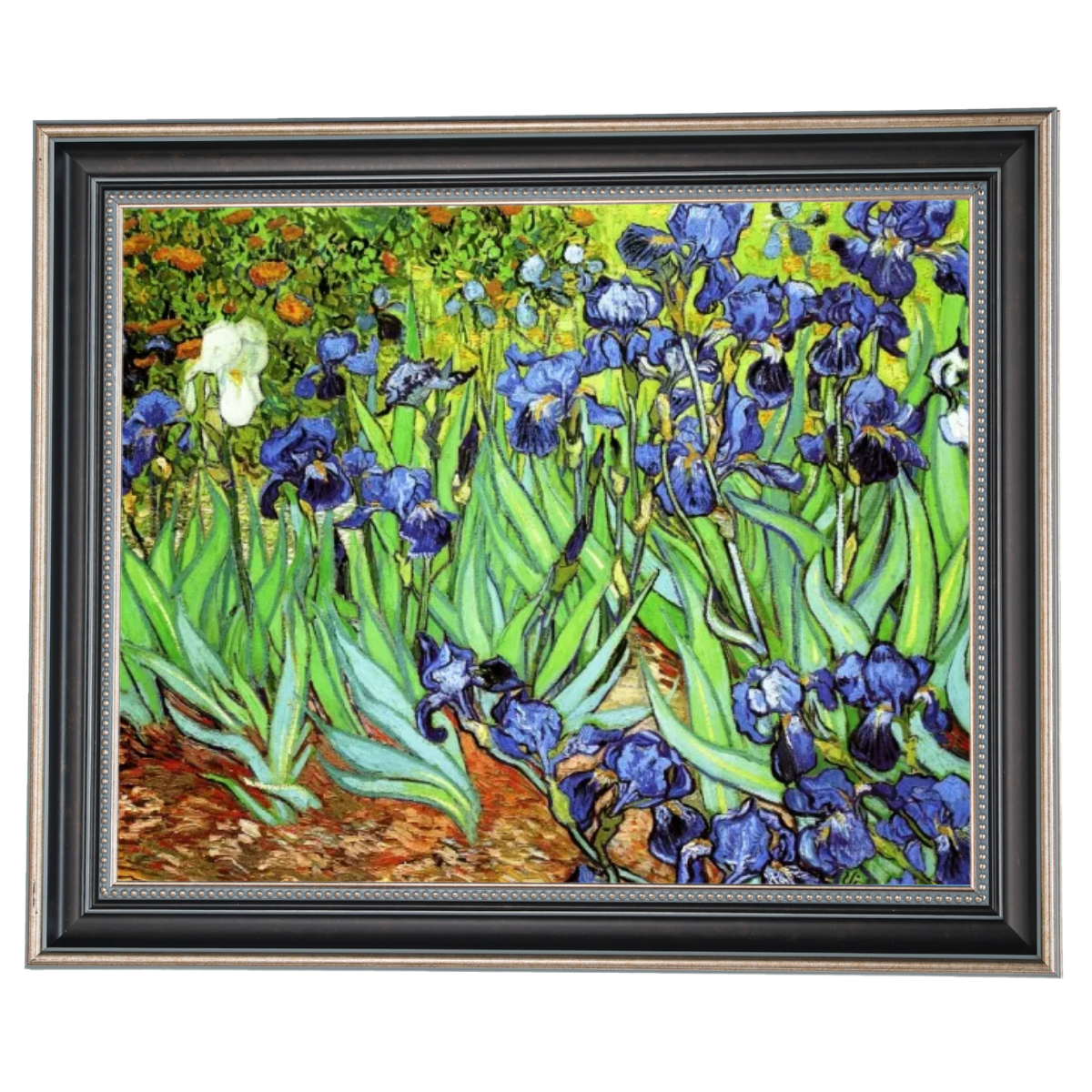 Irises II- Floral Wall Art Prints Decor For Living Room