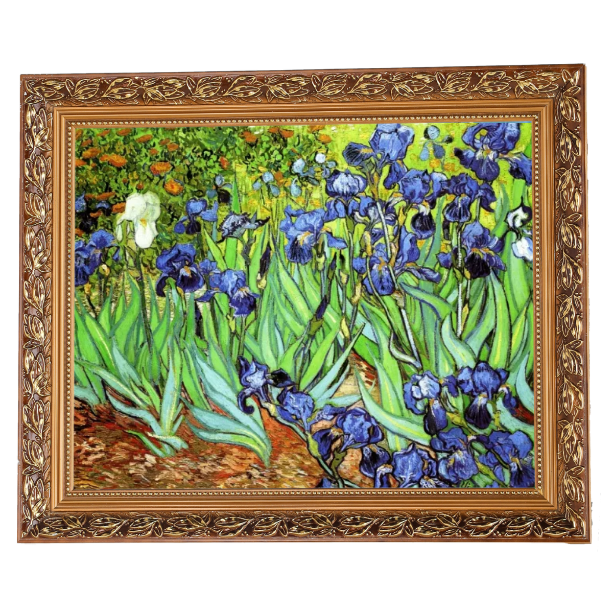 Irises II- Floral Wall Art Prints Decor For Living Room
