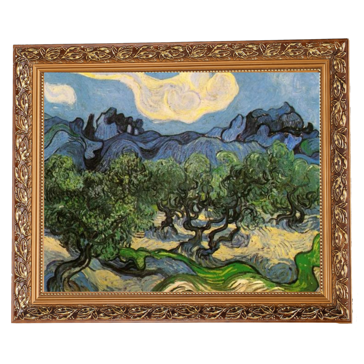 Olive Trees with the Alpilles in the Background