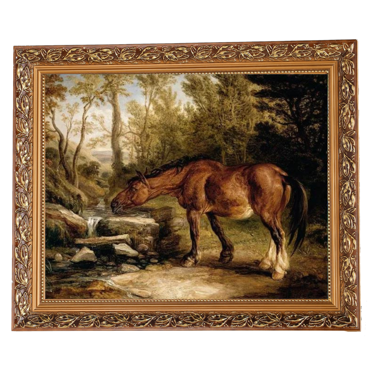 A Horse Drinking at a Stream