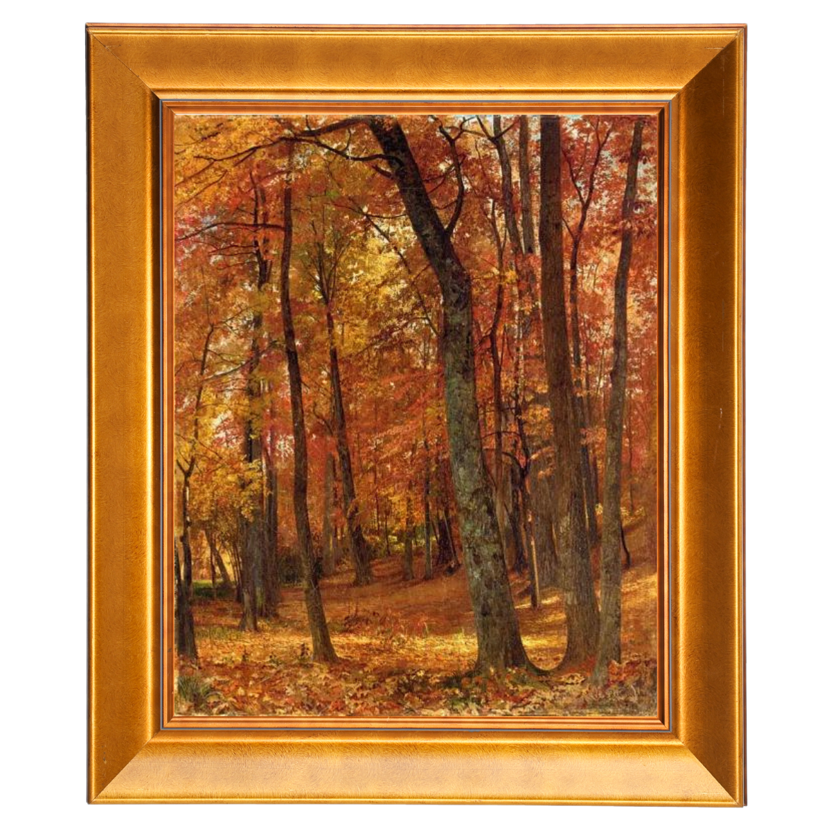 A Forest Interior