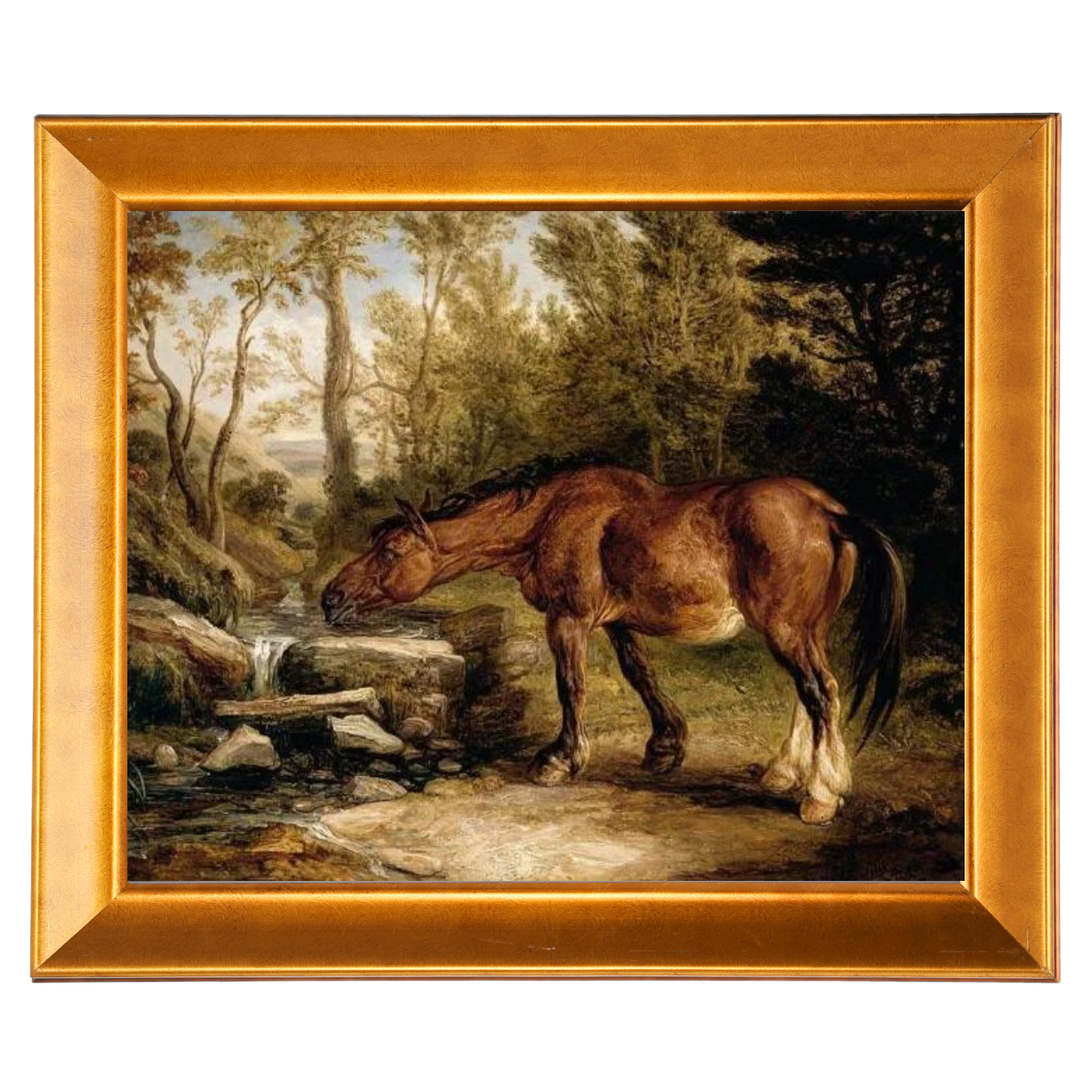 A Horse Drinking at a Stream