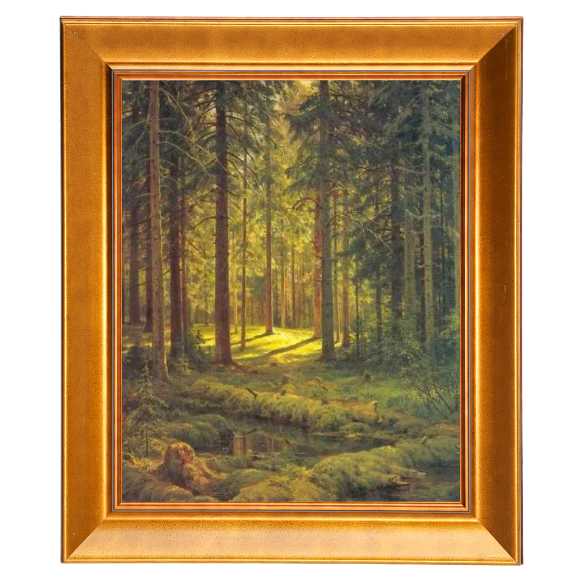 A Coniferous Forest. Sunny Day