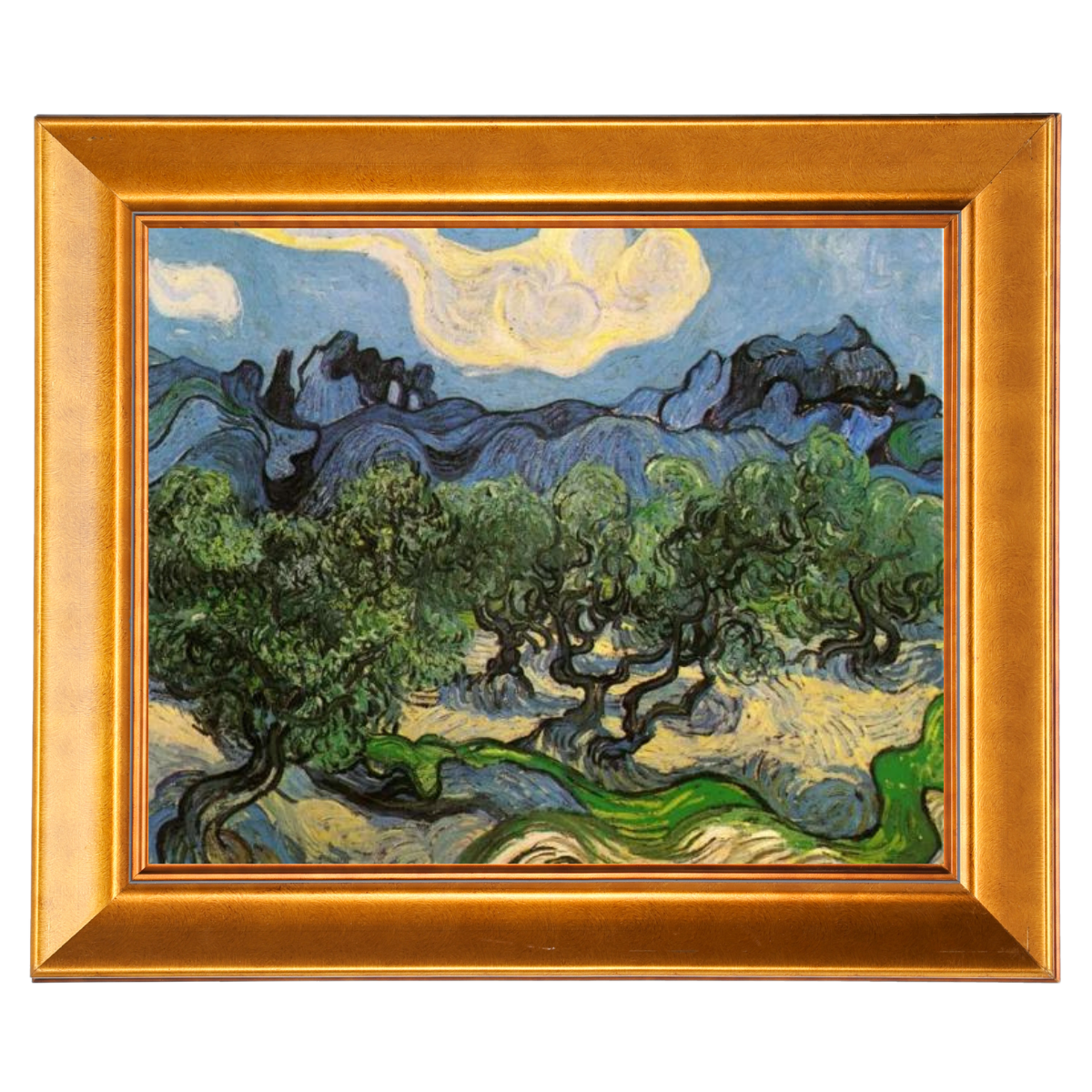 Olive Trees with the Alpilles in the Background