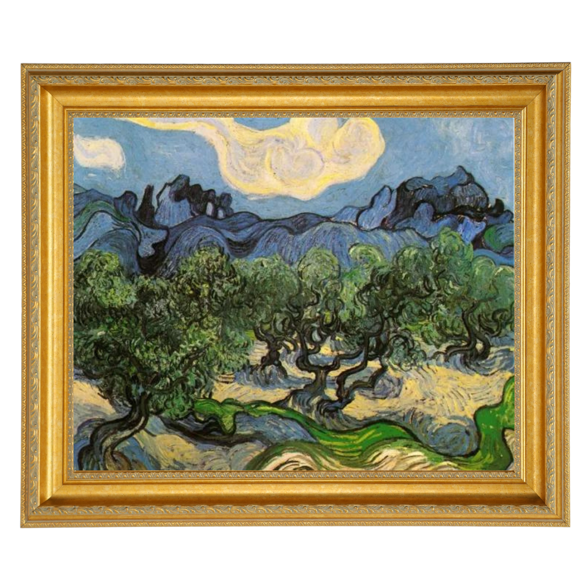 Olive Trees with the Alpilles in the Background