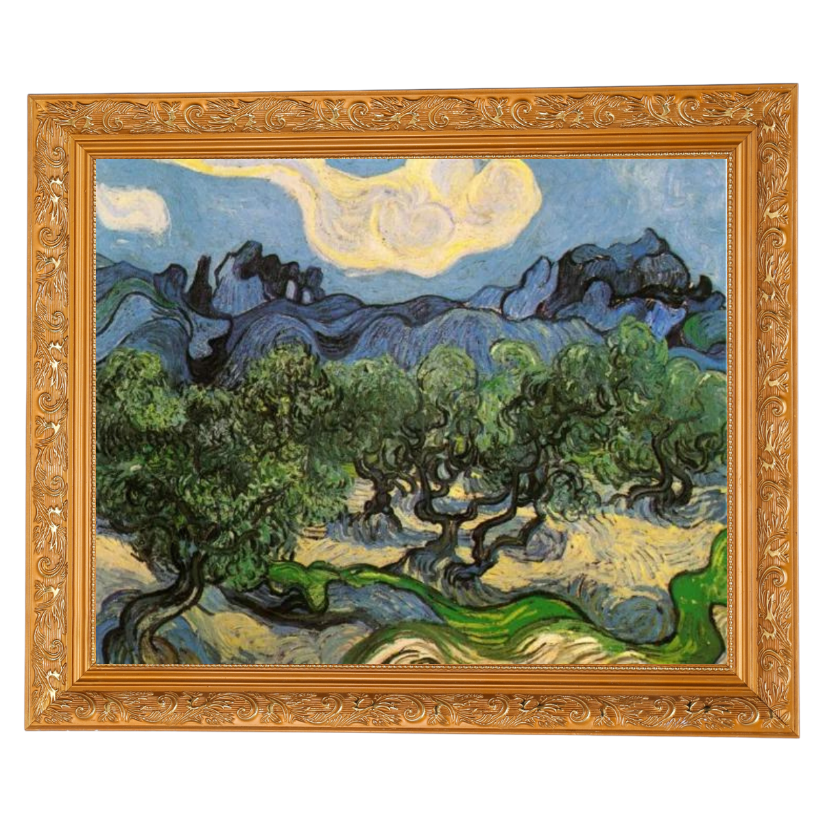 Olive Trees with the Alpilles in the Background