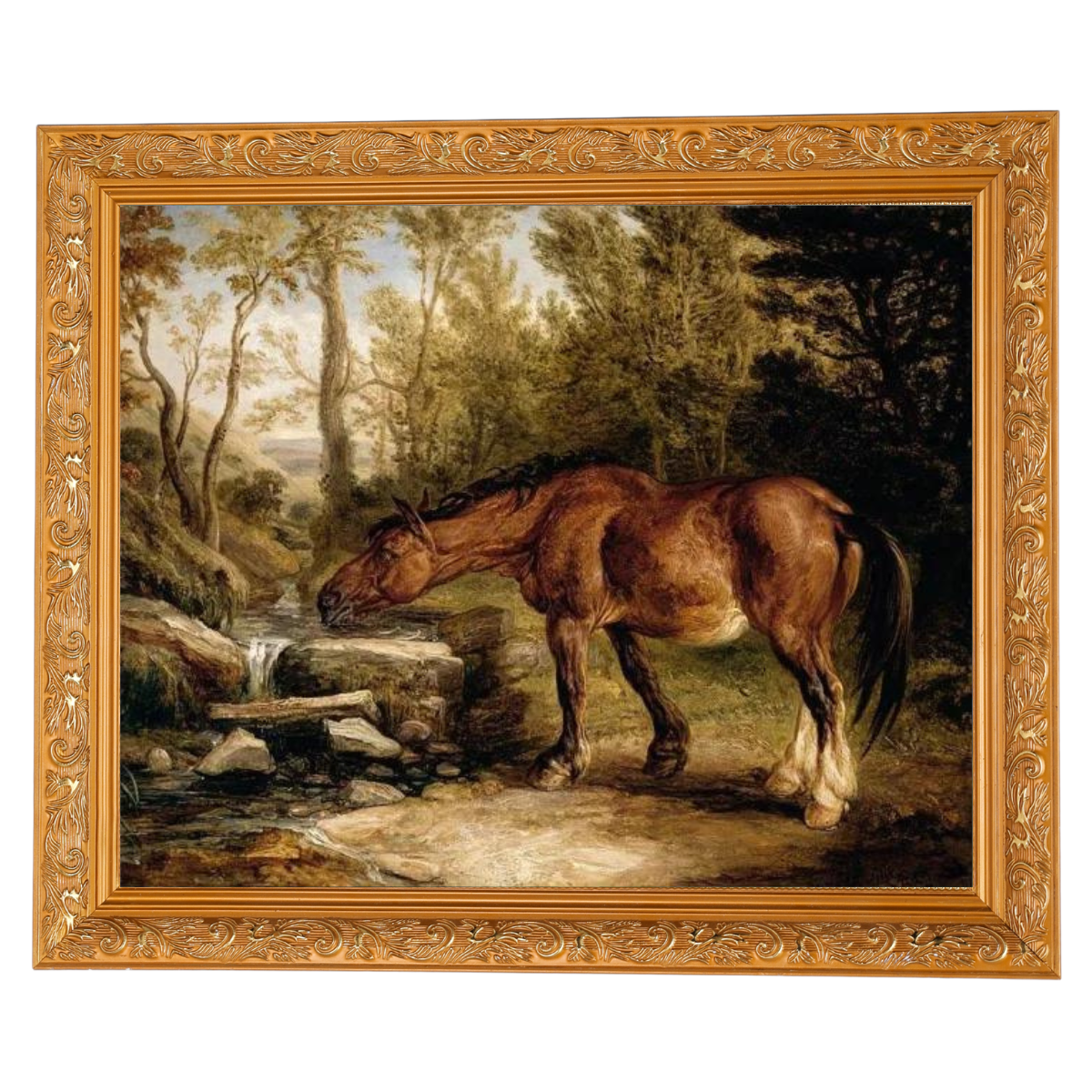 A Horse Drinking at a Stream