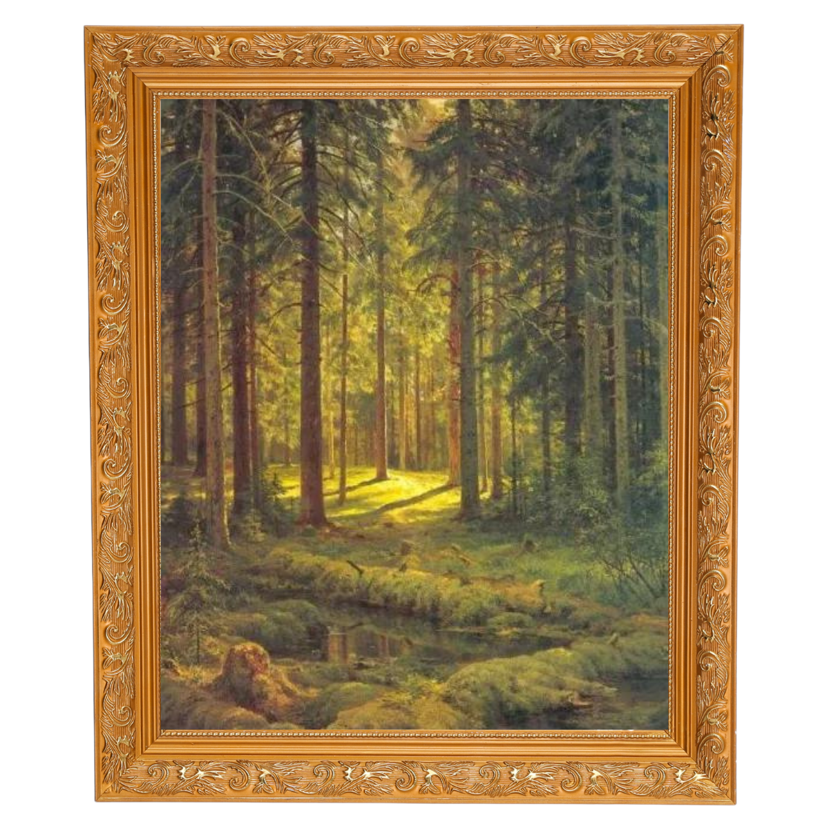 A Coniferous Forest. Sunny Day