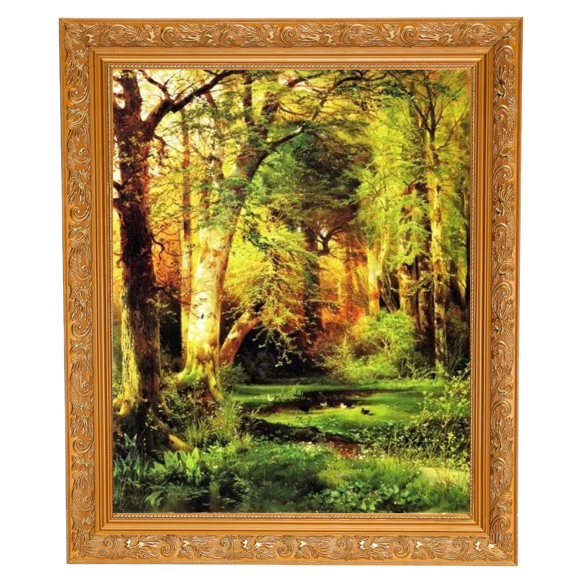 Forest Scene