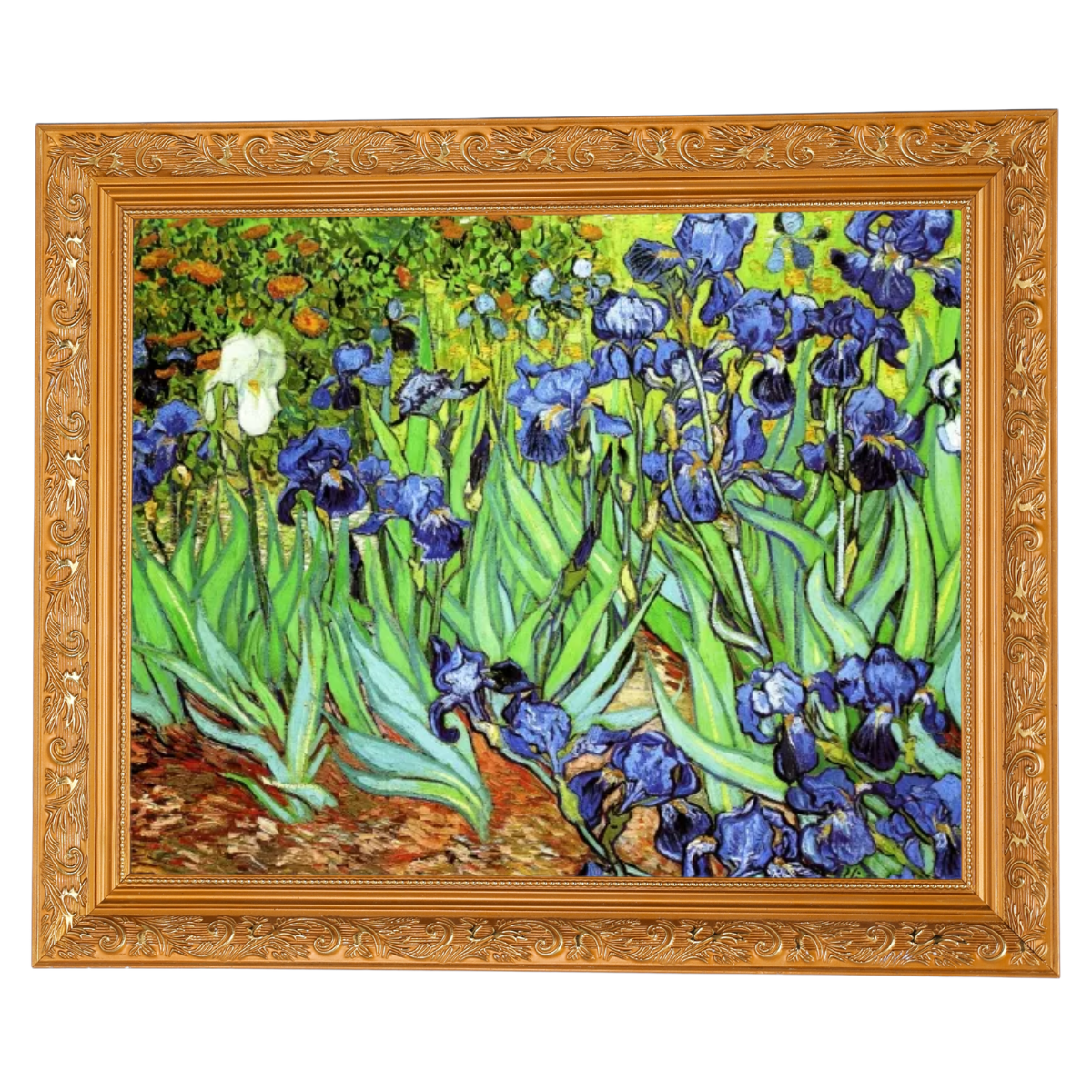 Irises II- Floral Wall Art Prints Decor For Living Room