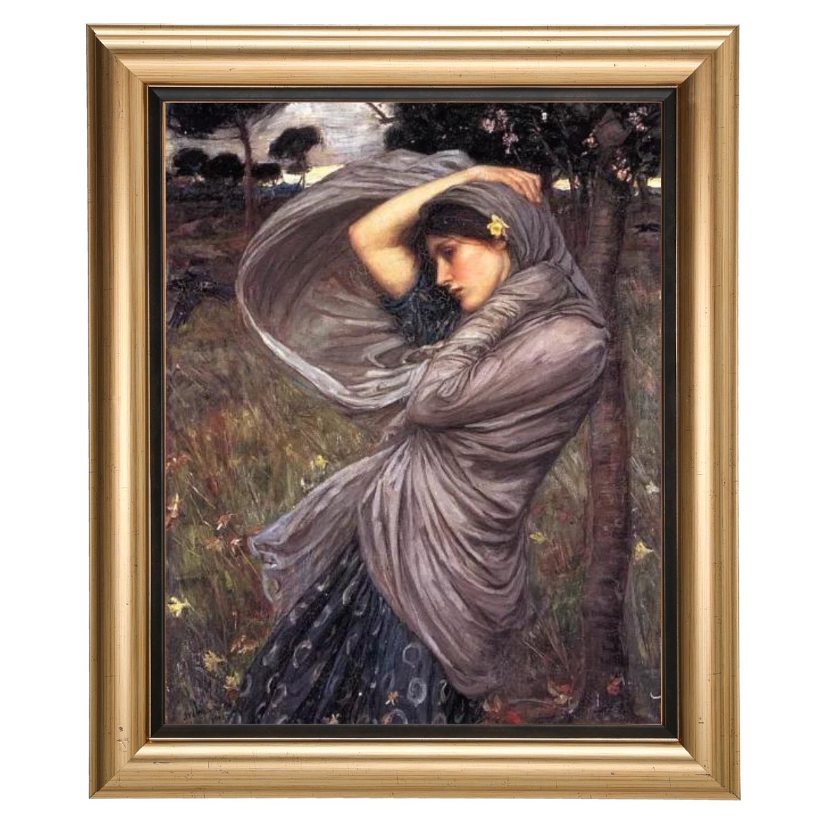 Boreas