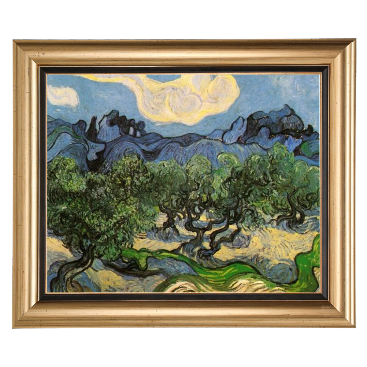 Olive Trees with the Alpilles in the Background